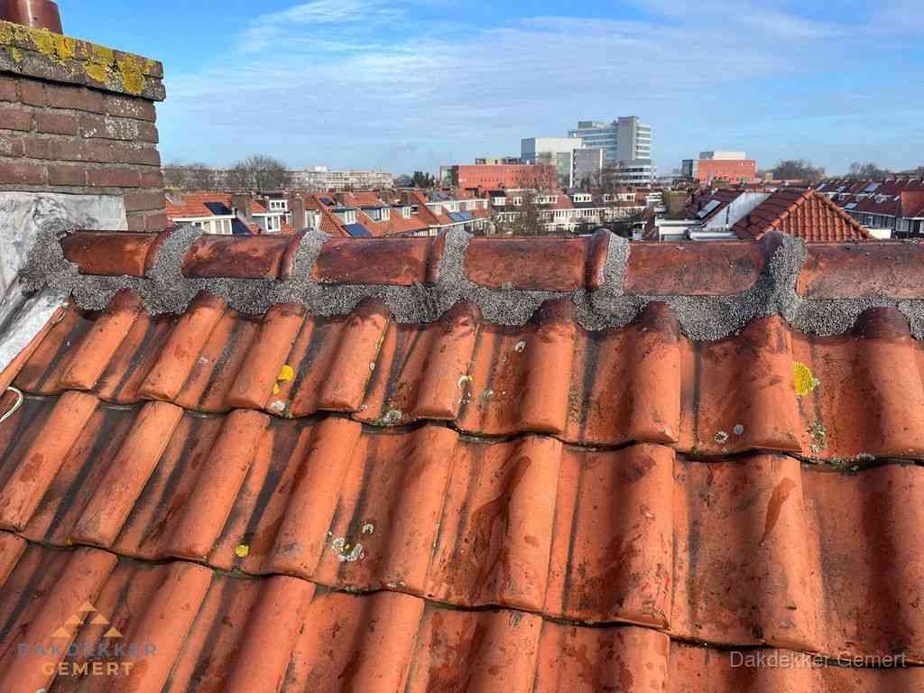 Gemert Daken Renoveren Gemert Daken Renoveren